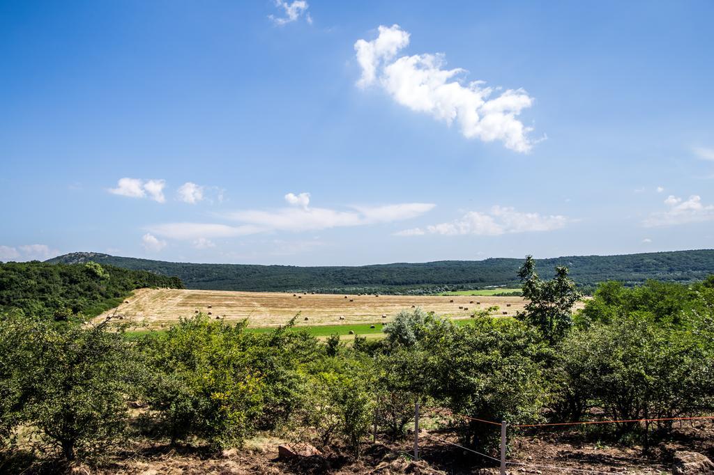 Oeregtoelgy Vendeghaz Villa Szár Dış mekan fotoğraf