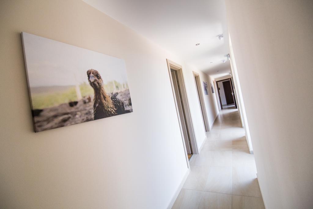 Oeregtoelgy Vendeghaz Villa Szár Dış mekan fotoğraf